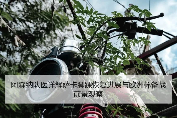 阿森纳队医详解萨卡脚踝恢复进展与欧洲杯备战前景观察